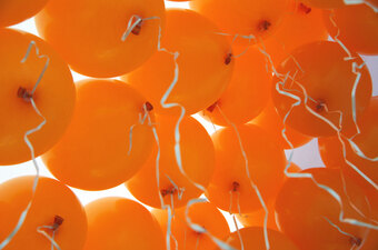 Koningsdag 2023